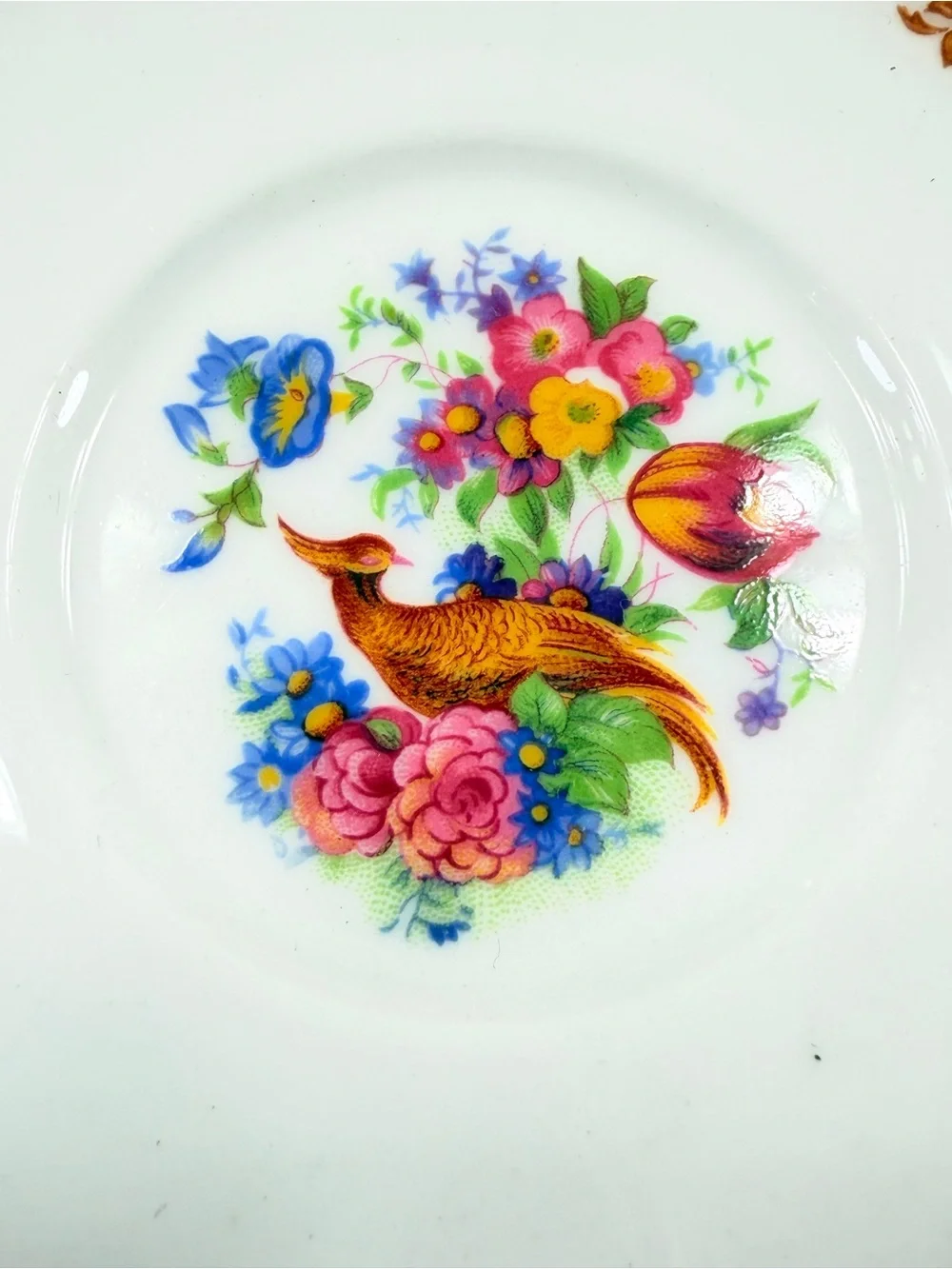 Vintage Paragon Rockingham Fine Bone China Tea Cup & Saucer Set Red Flower Bird